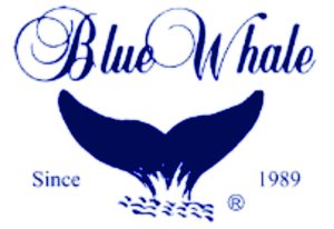 Blue Whale